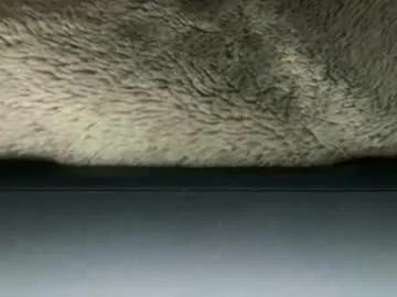 dicklete from Chaturbate